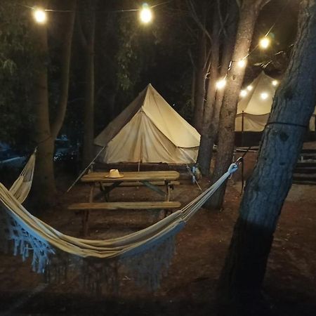 Bungalows Y Glamping Medina Sidonia Ngoại thất bức ảnh