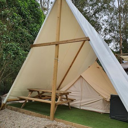 Bungalows Y Glamping Medina Sidonia Ngoại thất bức ảnh