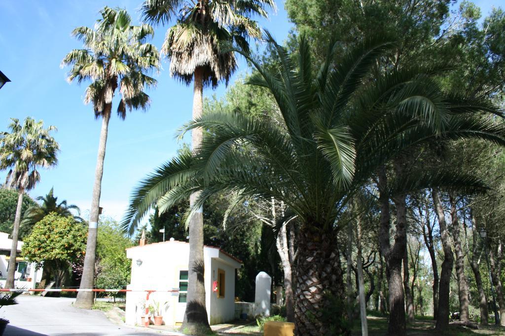 Bungalows Y Glamping Medina Sidonia Ngoại thất bức ảnh