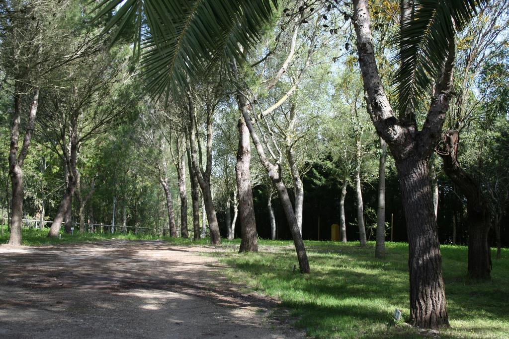 Bungalows Y Glamping Medina Sidonia Ngoại thất bức ảnh